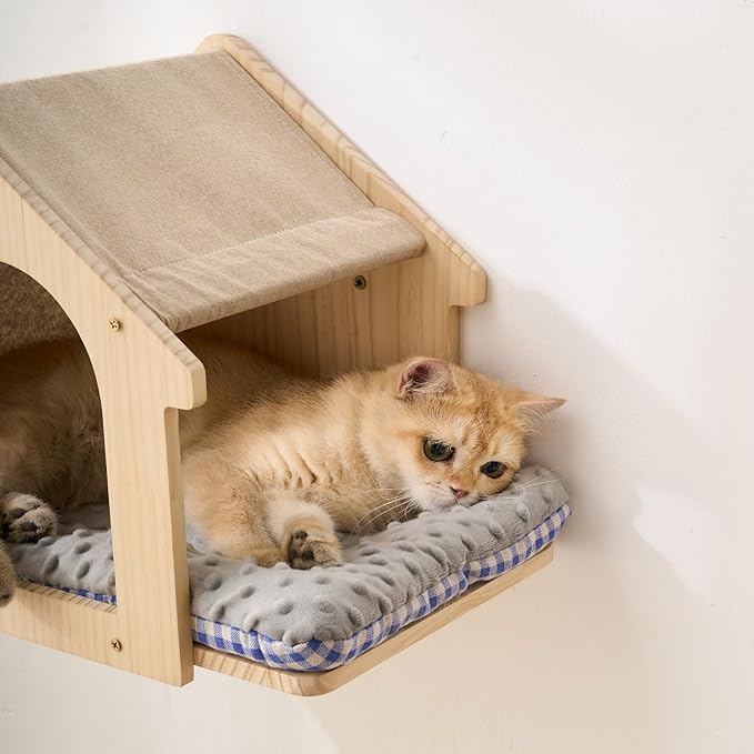 SHENGOCASE Natural Wood Cat Wall Shelves Bed, 2-Pack, Wall-Mounted Box House Perch, Cat Condo Furniture with Washable Pillow Cushions