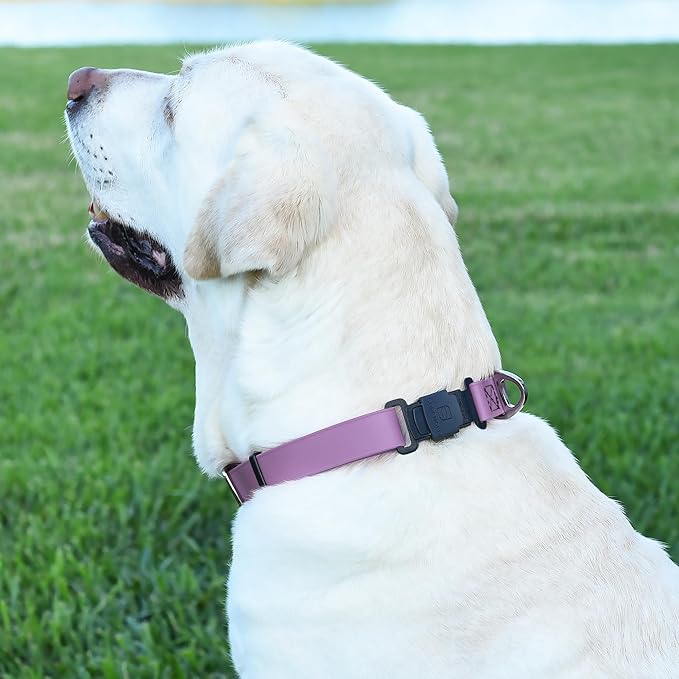 Dogline Biothane Waterproof Dog Collar with Herm Sprenger Stainless Steel Quick Release Buckle – Heavy Duty Tactical Durable Collar for Dogs – Comfortable and Safe Pet Collar W 3/4" L 12-19" Amethyst