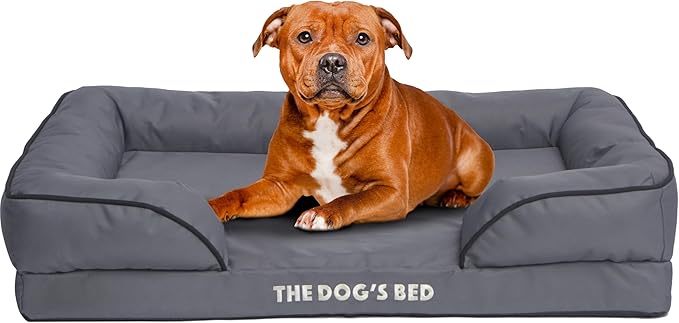 The Dog’s Bed, Orthopedic Standard Foam Waterproof Dog Bed with Standard Support, Large Grey with Black Trim, Waterproof, Supportive Dog Bed with Replaceable Covers, Veterinary Approved