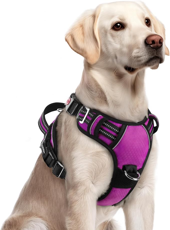 rabbitgoo Dog Harness for Large Dogs, No Pull Pet Vest with 3 Buckles, Adjustable Soft Padded Pet Harness with Easy Control Handle and Reflective Strips, Purple, L