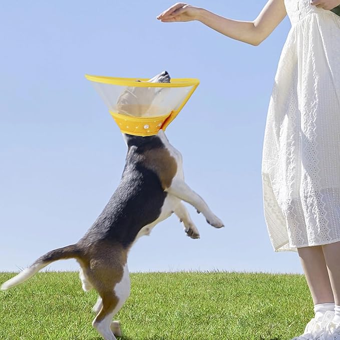 Pet Cone Recovery Dog Cone Adjustable Dog Collar Clear Padded Collar with Breathable Soft Edge, Plastic Puppy Cone Protect The Neck Surgery Recovery, Designed for Cats and Puppies (Yellow, S)