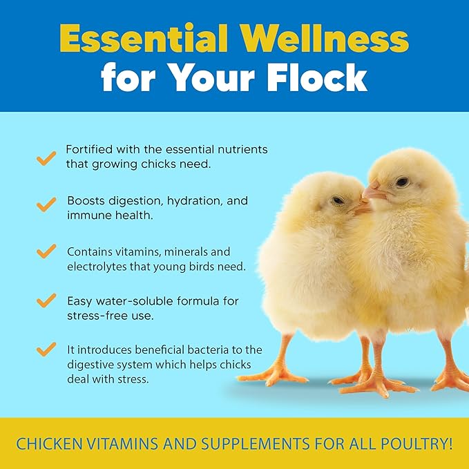 Flock PRO Chick Boost Probiotic - Probiotics, Vitamins, Minerals and Electrolytes for Chickens | Chicken Vitamins and Supplements for All Poultry - 3Oz