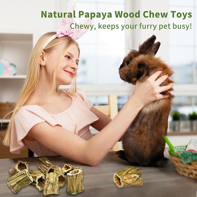 Fhiny Rabbit Chew Toys, 8 PCS 2" Natural Papaya Wood Chew Sticks Guinea Pig Treats for Dental Care Bunny Treats for Rabbits Small Pet Molar Snacks for Bunny Guinea Pig Chinchilla Hamster Gerbil