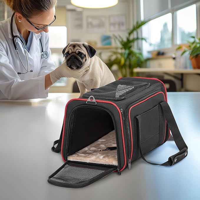 Petsfit Expandable Dog Carrier Large Cat Carrier, Soft-Sided Portable Collapsible Pet Travel Carrier for Kittens, Puppies or Small Animals, 19 x12x12 Inches, Black
