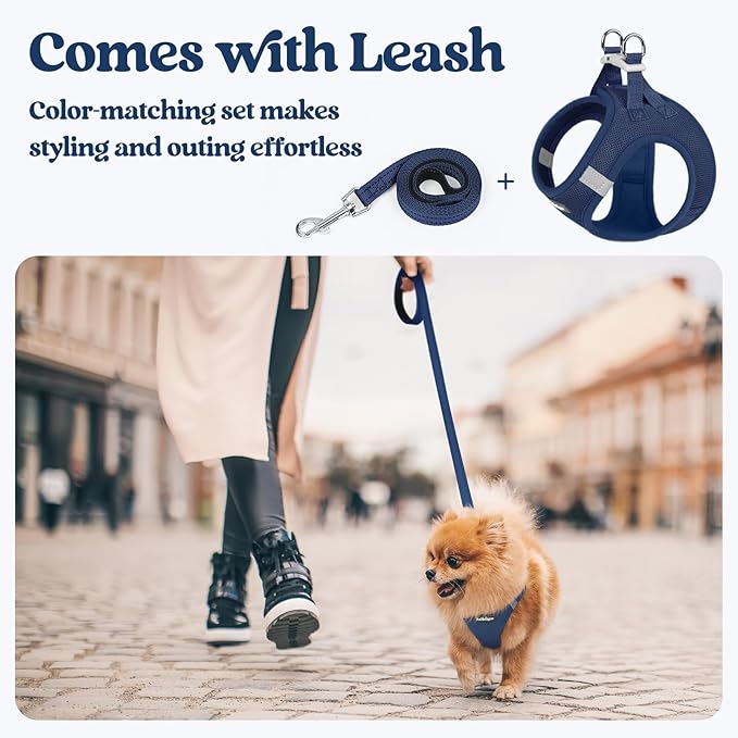 rabbitgoo Dog Harness Small Sized and Leash Set, Step in Soft Light Puppy Vest, Breathable Mesh Pet Harness, Reflective for Safe Outdoor Walking, Navy Blue XS