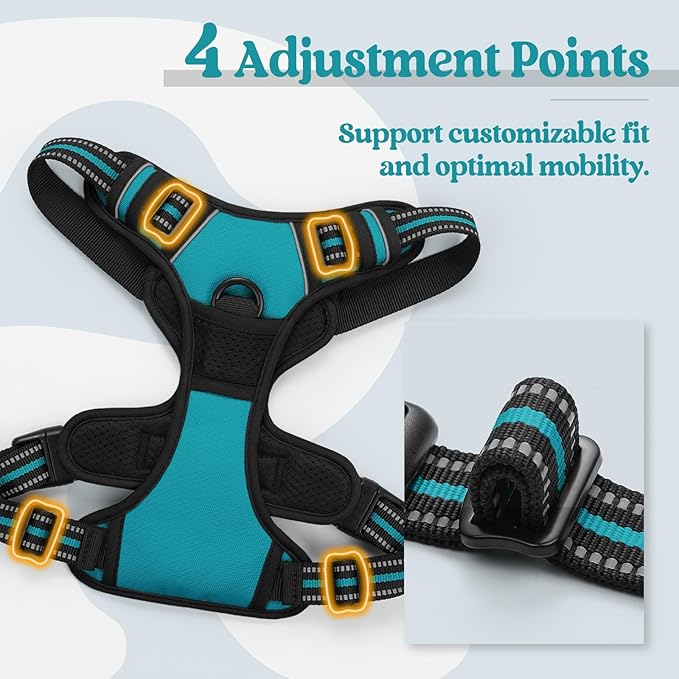 rabbitgoo Dog Harness No Pull with 2 Leash Clips, Adjustable Soft Padded, Reflective Oxford No Choke Pet Vest with Easy Control Handle for Large Dogs, Teal, XL