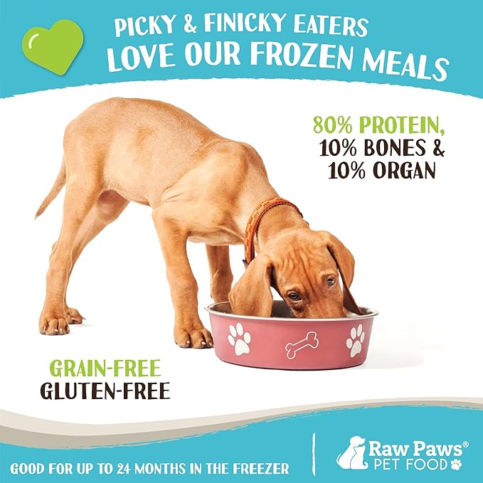 Raw Paws Signature Blend Pet Food for Dog & Cats - Chicken Recipe, 1-lb Rolls (10 Pack) - Frozen Fresh Dog Food - Made in USA - Natural Raw Diet Dog Food Log