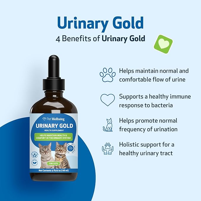 Pet Wellbeing Urinary Gold for Cats - Supports Urinary Tract Health, Normal Frequency, Healthy Immune Response, Stoneroot, Hydrangea - Vet-Formulated Herbal Supplement 4 fl oz (118 ml)