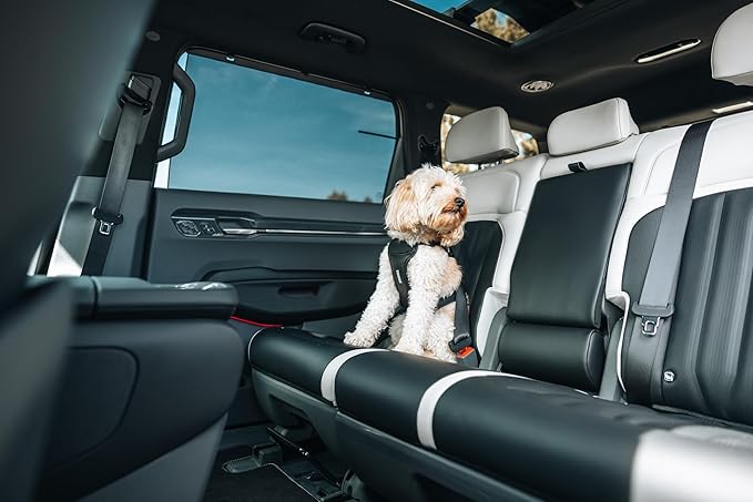 Thule Cappy Dog Harness L - Crash-Tested for Safety - Seatbelt passthrough - Adjustable & Easy to Clean - Padded Breathable mesh Panels - Leash Loop - Step-in Design