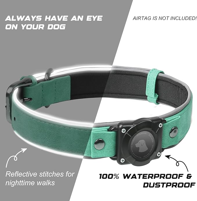 AirTag Dog Collar - Leather Dog Collar with Air Tag Holder | IPX8 Waterproof, Reflective, High - End, Adjustable Soft Padded | Dog GPS Tracker Collars Fit for Medium Large Dogs (Teal, M)