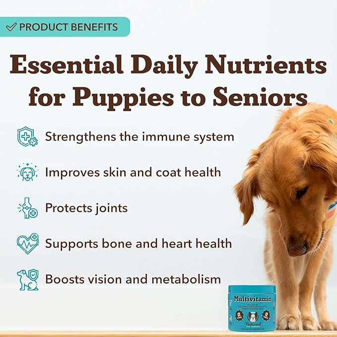 Natural Dog Company 25 in 1 Multivitamin for Dogs – Daily Soft Chews with Vitamins, Minerals & Antioxidants, Immune & Joint Support, for All Ages, Sizes & Breeds, Bacon & Peanut Butter – 90 Count