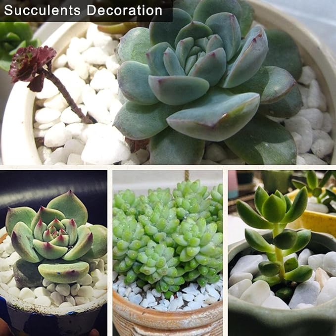 HappyFiller Polished 18 LB 1/2" White Matted Pebbles for Outdoor Garden Landscape Pave Walkway Small Rocks,Indoor Plants Succulents Cactus,Aquarium,Vase Fillers,Cultivation Hydroponic Stone,Zen
