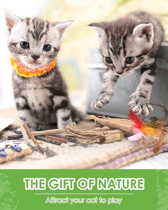 TINDTOP Silvervine Chew Sticks for Cats, 12 Pack Natural Catnip Chew Toys for Kittens Teeth Cleaning, Matatabi Dental Care, Increase Appetite, Calm Cat Anxiety and Stress, Cat Dental Toy