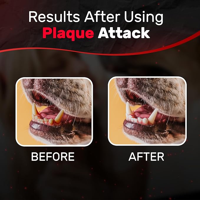 Pet Dental Spray, As Seen on TV, Eliminates Plaque & Tartar, Helps with Plaque and Tartar and Provides Instant Fresh Breath - Includes 3 Months' Supply of Peppermint Spray, 1fl. OZ (30ML)