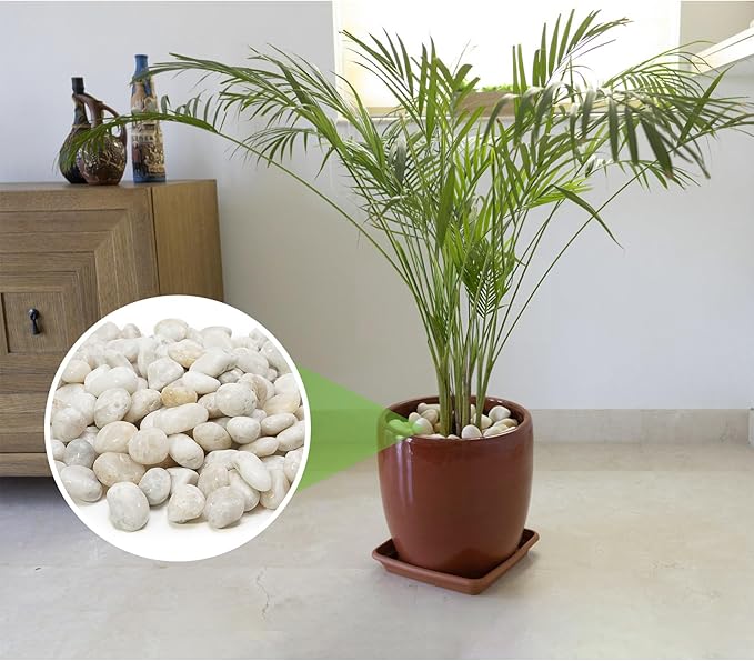 Mr. Fireglass 10lb White River Rocks, 3/8 inch Natural Decorative Polished Pebbles Aquarium Gravel Stones for Landscaping, Indoor Plants, Vase, Succulent, Fish Tank