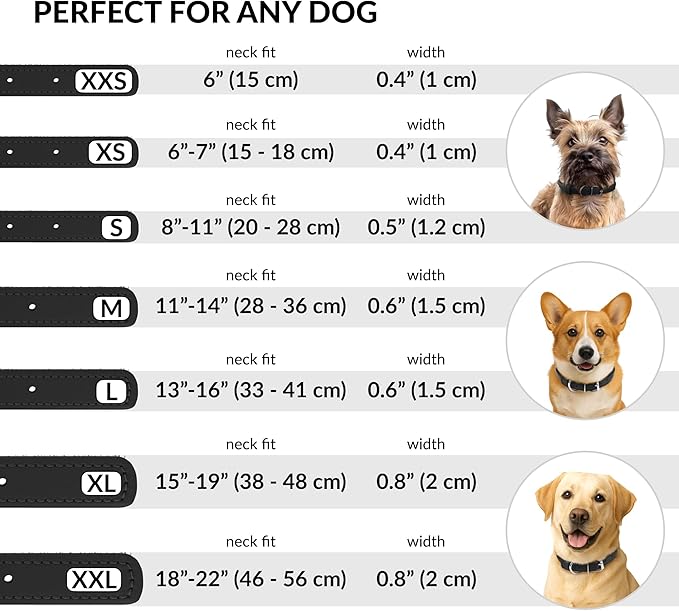 CollarDirect Rolled Leather Dog Collar, Soft Padded Round Puppy Collar, Handmade Genuine Leather Collar Dog Small Large Cat Collars 13 Colors (15-19 Inch, Light Blue Textured)