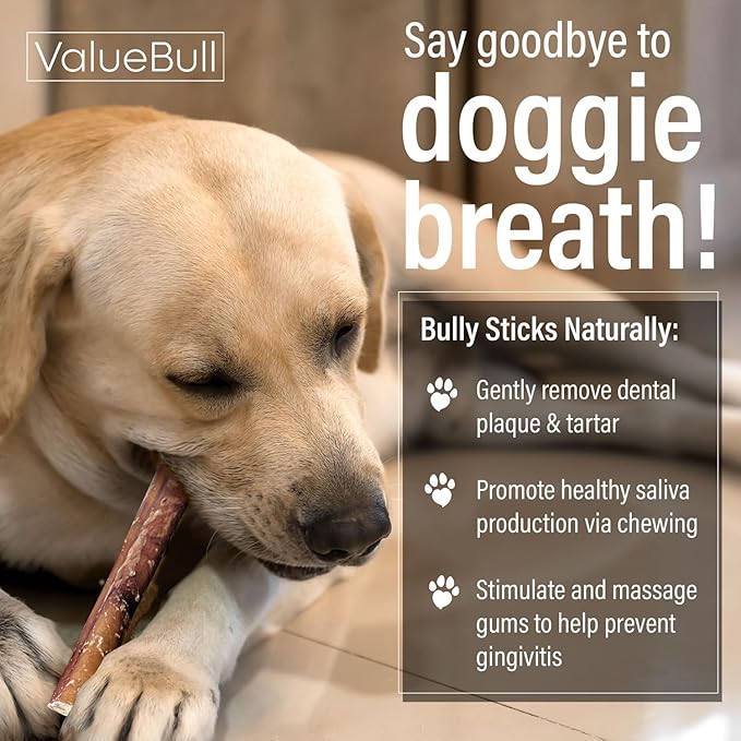 ValueBull Bully Sticks for Dogs, Thick 12 Inch, 50 Count - All Natural, Grass Fed, Single Ingredient, Long Lasting Dog Treats