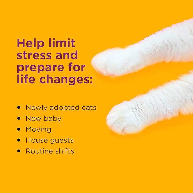 Comfort Zone Savings Kit: 2 Cat Calming Diffusers & 2 Refills; Cat Pheromones Help Anxiety; Reduce Stress, Urine Marking, Scratching