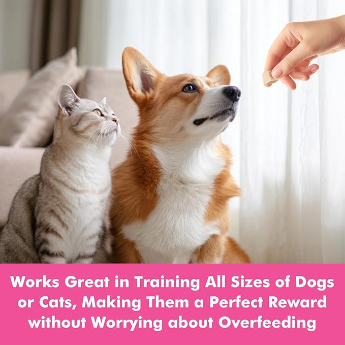 Freeze Dried Cats & Dogs Raw Treats, All Natural Single Ingredient Chicken Liver, High Protein Healthy Pet Training Treats or Food Topper, 6 oz