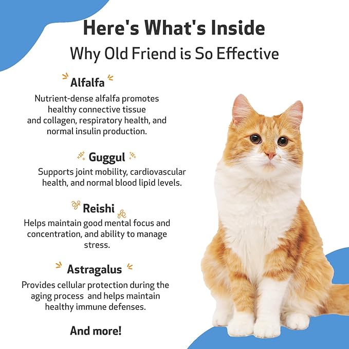 Pet Wellbeing Old Friend for Senior Cats - Supports Immune System Health, Joint Mobility, Healthy Energy Levels, Alfalfa, Reishi - Veterinarian-Formulated Herbal Supplement 2 oz (59 ml)