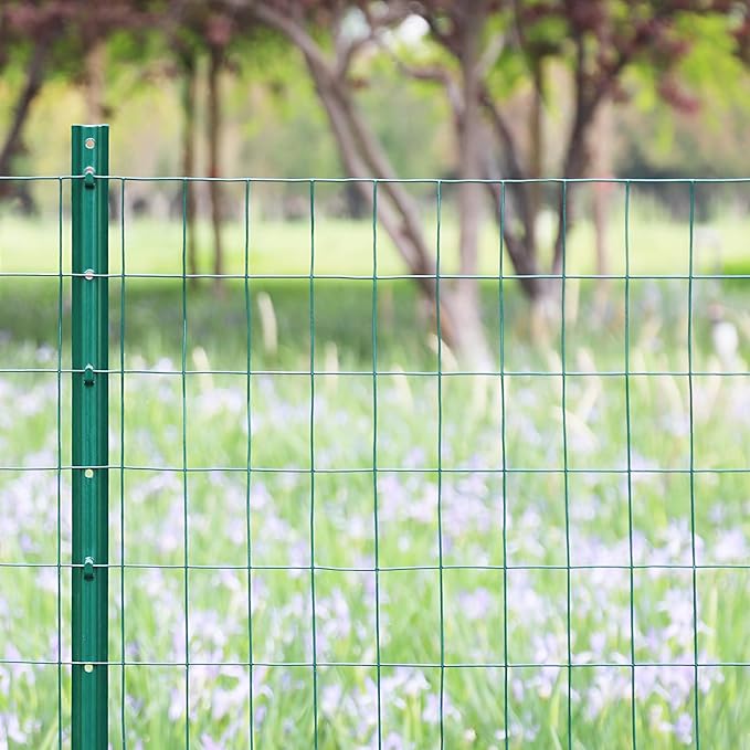 Green PVC Coated Welded Wire Fence 36 Inch x 25 Foot, 2 Inch x 3 Inch 16GA, Garden Border Fencing Roll Vinyl Coating Metal Wire Mesh for Yard Vegetable Plant Protection Poultry Netting