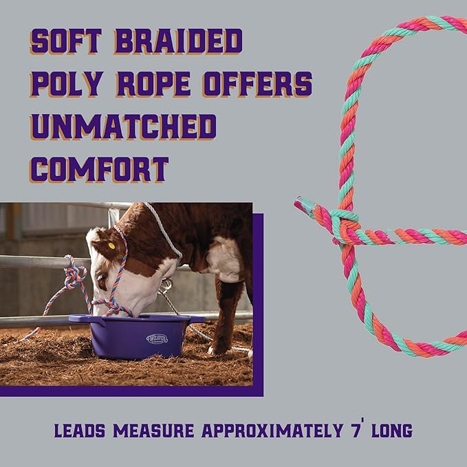 Weaver Livestock Braided Poly Rope Cattle Halter, Adjustable Style Cow Calf Halter, Livestock Handling Equipment for Showing, Hot Pink/Coral/Mint