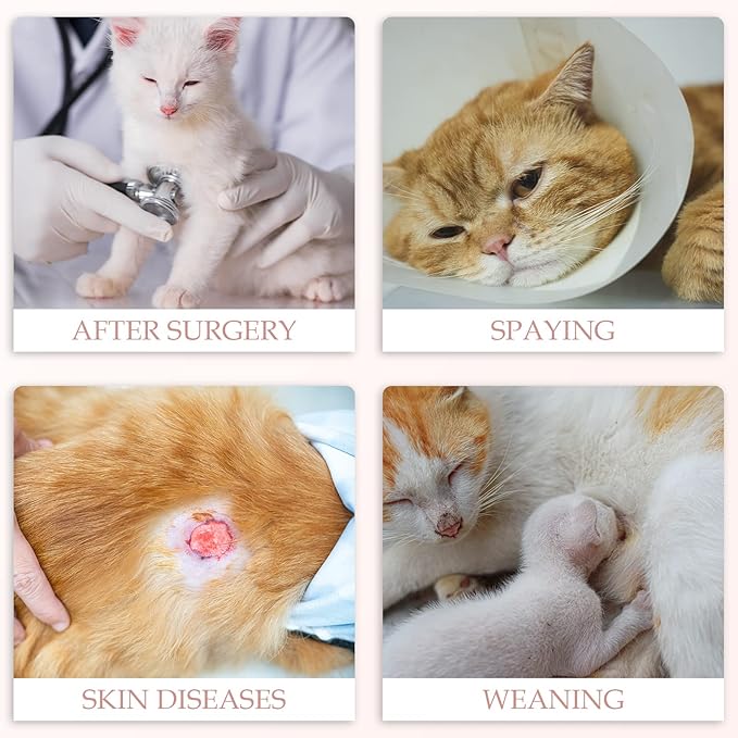 ANWA Cat Recovery Suit - Breathable Cat Onesie for Cats After Surgery Female, Kitten Surgery Recovery Suit Female Abdominal Wounds