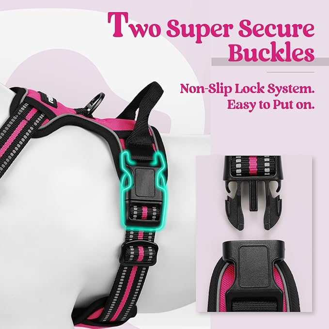 rabbitgoo Dog Harness No Pull with 2 Leash Clips, Adjustable Soft Padded, Reflective Oxford No Choke Pet Vest with Easy Control Handle for Large Dogs, Hot Pink, XL