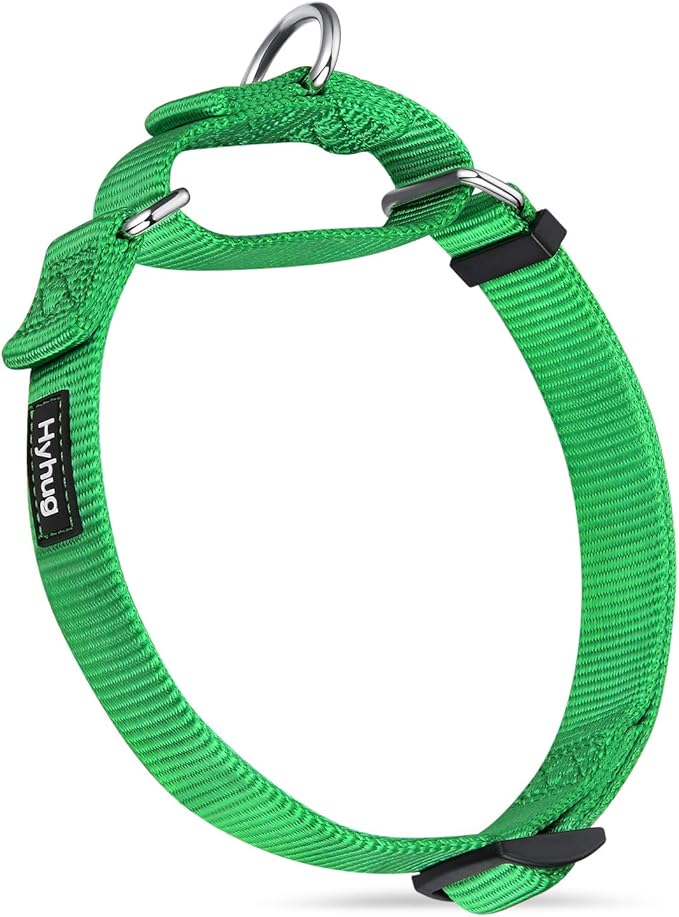Hyhug Martingale Dog Collar Without Buckle: Escape-Proof, No Slip Heavy Duty Nylon, Colorfast Adjustable Pet Supplies for Large Breeds(Large, Lime Green)