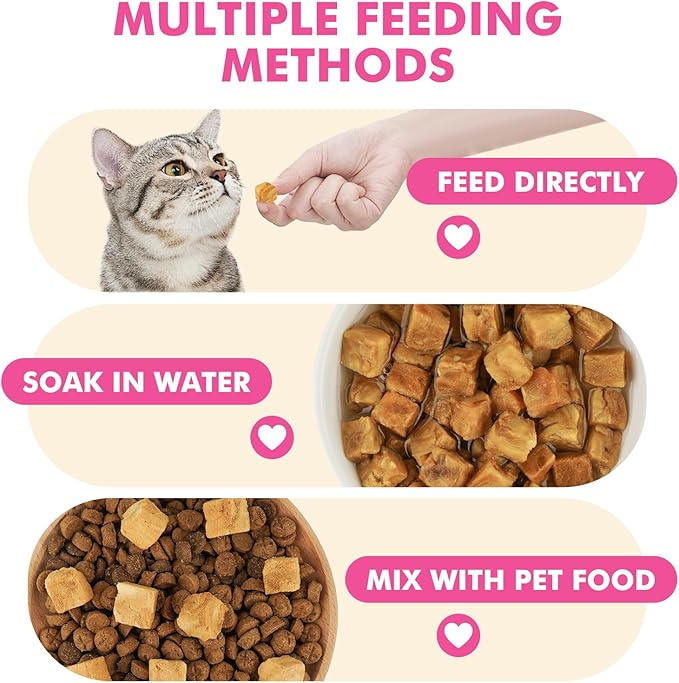 Freeze Dried Cats & Dogs Raw Treats, All Natural Single Ingredient Salmon, High Protein Healthy Pet Training Treats or Food Topper, 10.6 oz