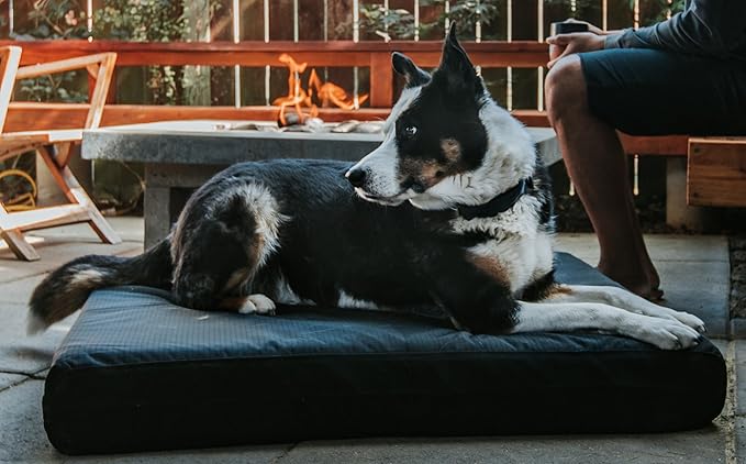 K9 Ballistics Tough Rip-Stop Orthopedic Rectangle Dog Bed Removable Washable Cover, Solid Orthopedic Foam for Size S Dogs 24"x18", Sandstone