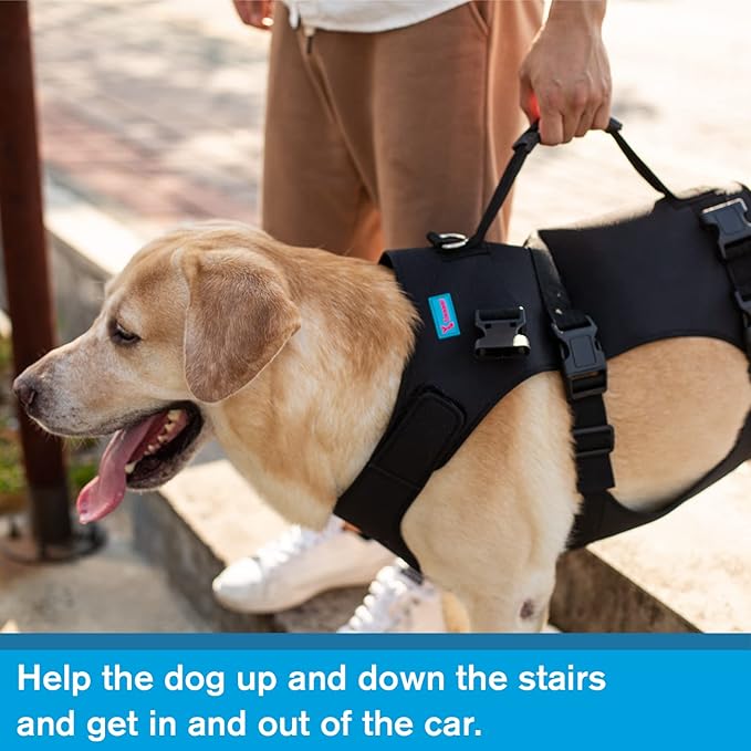 Dog Lift Harness, Rehabilitation Lifts Vest for Dogs, Support & Recovery Sling, Adjustable Breathable Lifting Straps for Old, Joint Injuries, Arthritis, Paralysis Dogs Walk (2XL, Black)