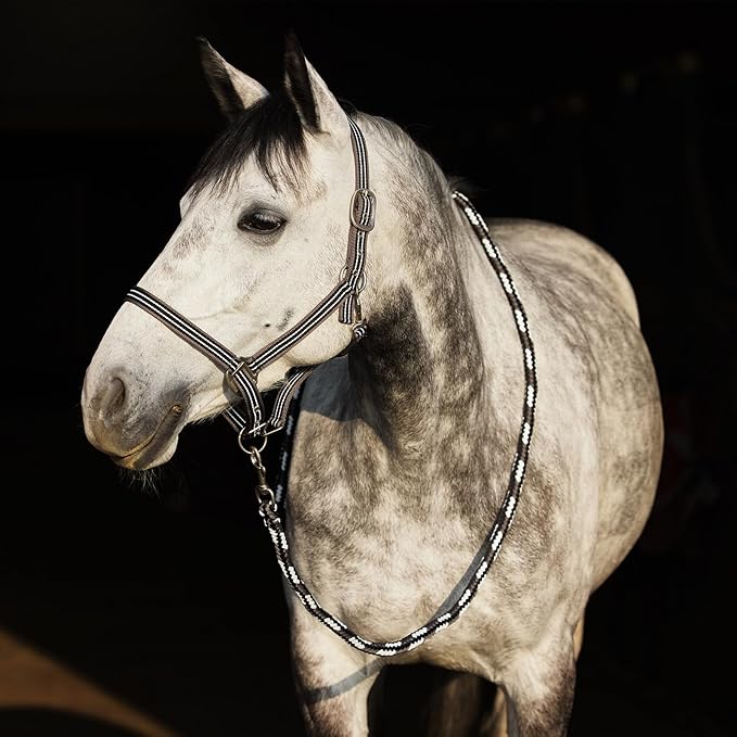 HORZE Adepto Adjustable Horse Halter | Soft, Durable Polyester - Dark Navy - Pony