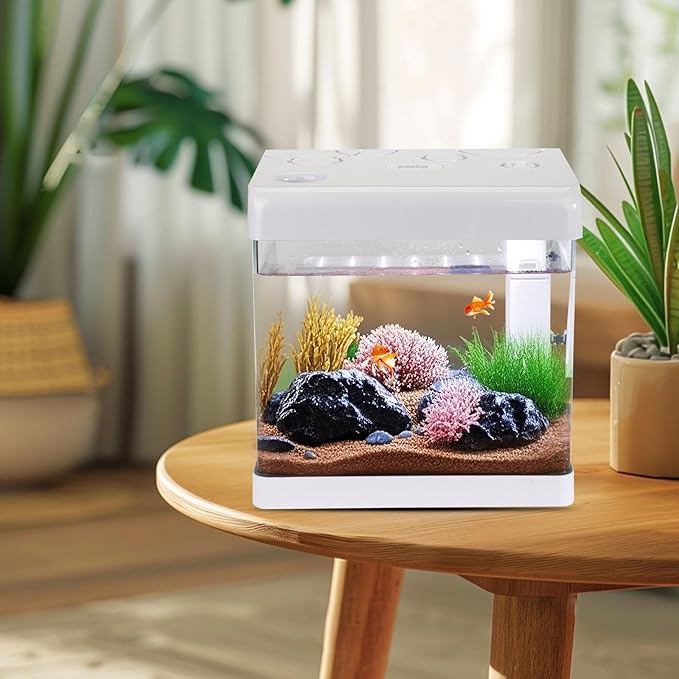 5 Gallon Glass Small Fish Tank,Betta Fish Tank with Filter and Light,White Aquarium Starter Kit.
