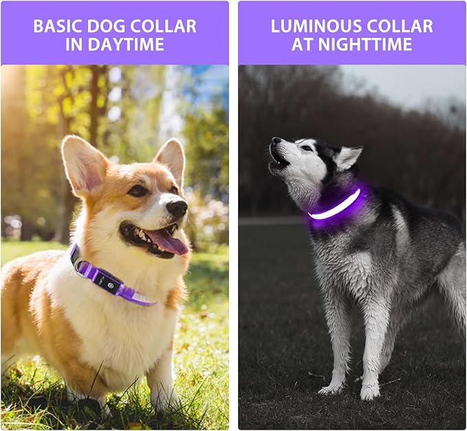 PcEoTllar Light up Dog Collar for Night Walking - LED Dog Collar Light Rechargeable Color Changing, Glow in The Dark Dog Collars Waterproof Glowing Dog Collars for Large Small Medium Dogs
