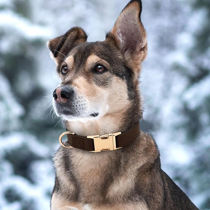 PET ARTIST PU Leather Dog Collar, Bright & Stylish Brown Dog Collar with Quick Release Gold Metal Buckle, Soft Nylon Padded Durable Pet Collars Adjustable for Medium Dogs, Neck Fit 13-19"