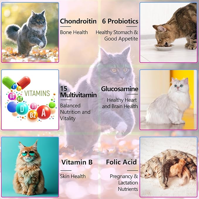 Cat Multivitamin,15 in 1 Cat Vitamins Liquid Drops Supplements for Heart Health, Bones, Joint, Skin & Coat, Bladder, Immune System Support 60ml