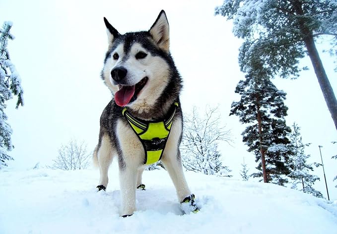 TRUE LOVE Truelove Adjustable No-Pull Dog Harness Reflective Pup Vest Harnesses Comfortable Control Brilliant Colors TLH5651(Neon Yellow,L)