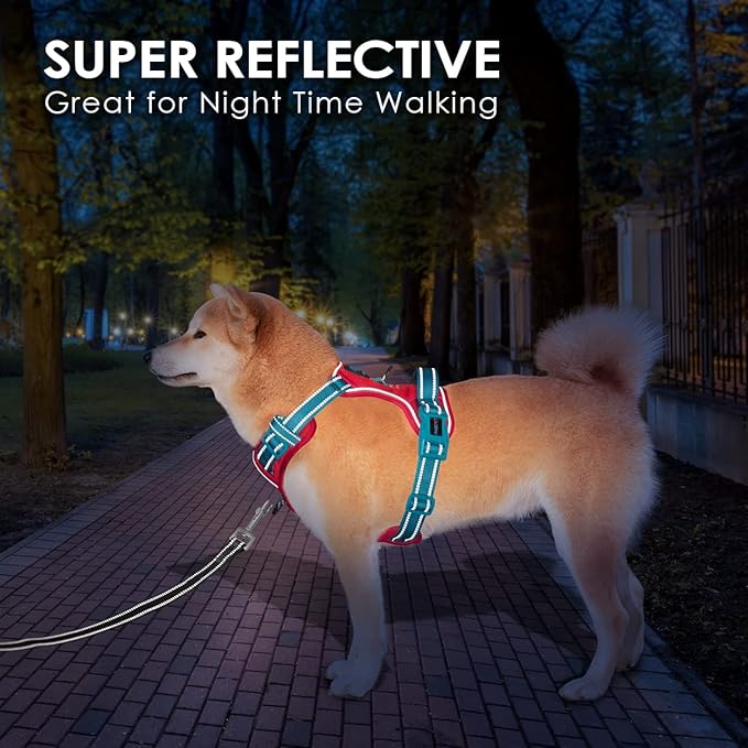 PHOEPET No Pull Dog Harness, Unique Colors Reflective Adjustable Dog Vest, with Soft Training Handle Metal Clips for Small Medium Large Dogs (Red Base & Teal Straps,L)
