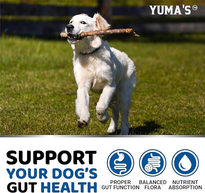 YUMA'S 2 Pack Probiotics for Dogs and Digestive Enzymes - Dog Probiotics Chews - Dog Probiotic - Anti Diarrhea, Upset Stomach & Gas Relief, Constipation, Canine Prebiotic - Pet Fiber Supplement