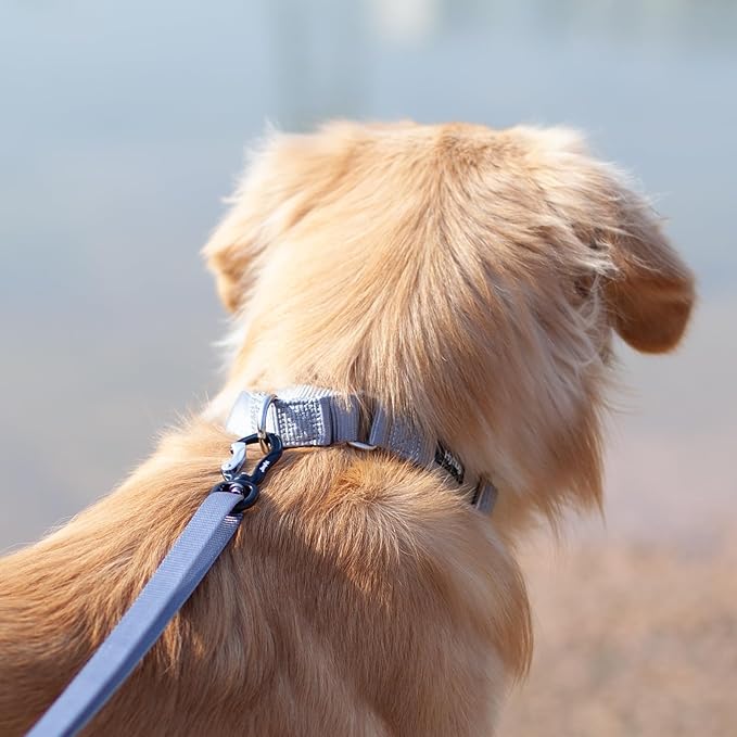 Hyhug Pets Premium Upgraded Heavy Duty Nylon Anti-Escape Medium Martingale Collar for Boy and Girl Dogs Comfy and Safe - Professional Training, Daily Use Walking. (Medium, Sleet Gray)