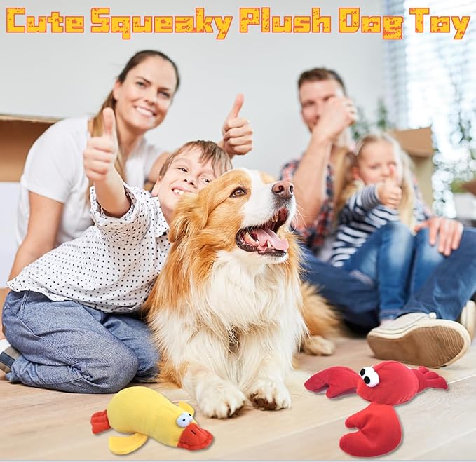 JKW Squeaky Dog Toy for Small & Medium Dogs, Puppy Plush Toys (S, Lobster)