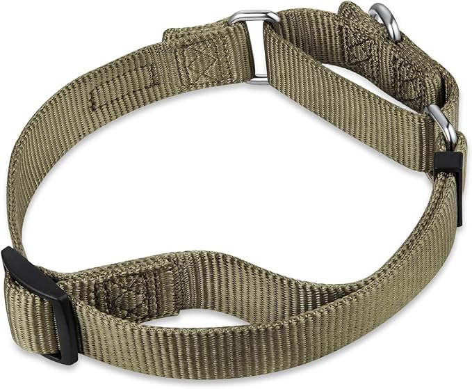 Premium Upgraded Durable Nylon Anti-Escape Martingale Dog Collar for Medium Boy and Girl Dogs Comfy and Safe - Walking, Professional Training, Daily Use. (Medium, Military Green)