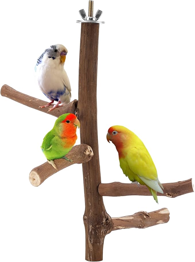 Bird Perch Stand Toy, Natural Grapevine Wood Parrot Perch Bird Cage Branch Accessories for Parakeets Cockatiels Conures Macaws Finches Love Birds(9.8" Length)