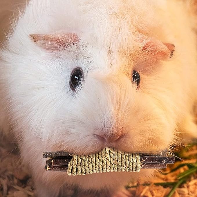 Rabbit Toys, 3 Types Hamster Chew Toys for Teeth Grinding, Improve Dental Health, Best Bunny Toys for Rabbits, Guinea Pigs, Chinchillas, Hamsters