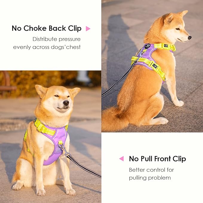 PHOEPET No Pull Dog Harness, Unique Colors Reflective Adjustable Dog Vest, with Soft Training Handle Metal Clips for Small Medium Large Dogs (Baby Purple Base & Yellow Straps,S)
