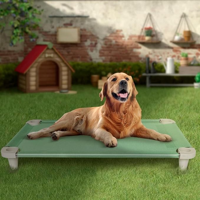 Acrimet Cooling Elevated Pet Dog Bed, Washable and Breathable Mesh Cot, Stainless Steel Frame, Indoor & Outdoor Use, fits Dogs up to 110 lbs (Size: 40” x 24”), Green, 1 Unit