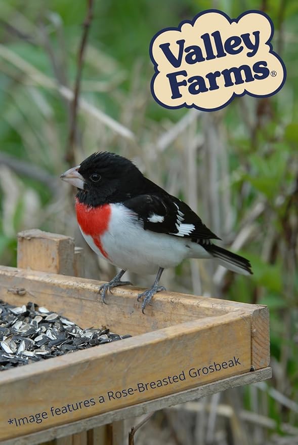 Valley Farms Cardinal Mix (10 LB) Wild Bird Food for Outside Feeders, Cardinal Bird Seed with Black Oil Sunflower Seeds and Safflower Seeds, Attract a Variety of Wild Birds
