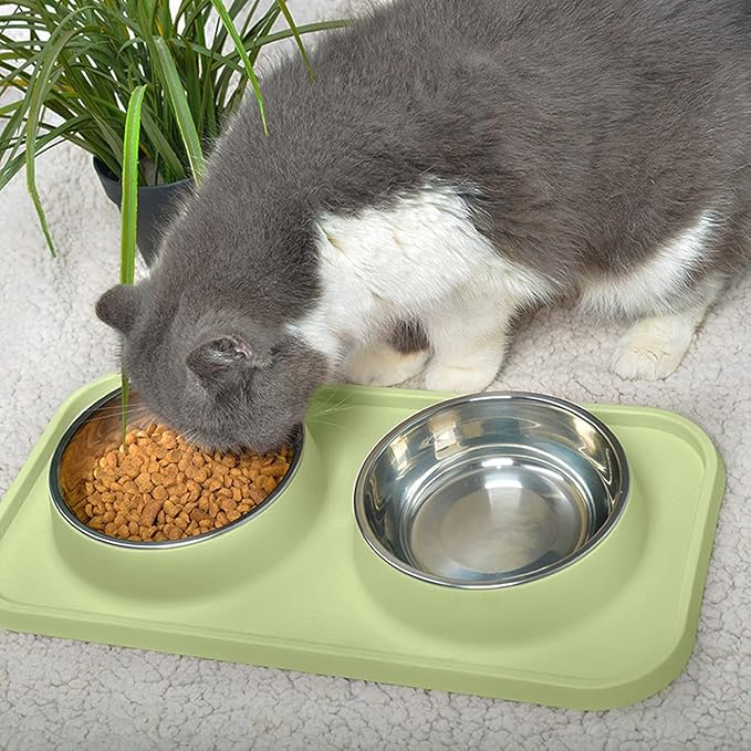 Cat Food Bowls, Cat Bowls Non-Skid and Non-Spill Silicone Pads with PP Stand, Removable Stainless Steel Food and Water Dishes for Cats, Small Size Dogs