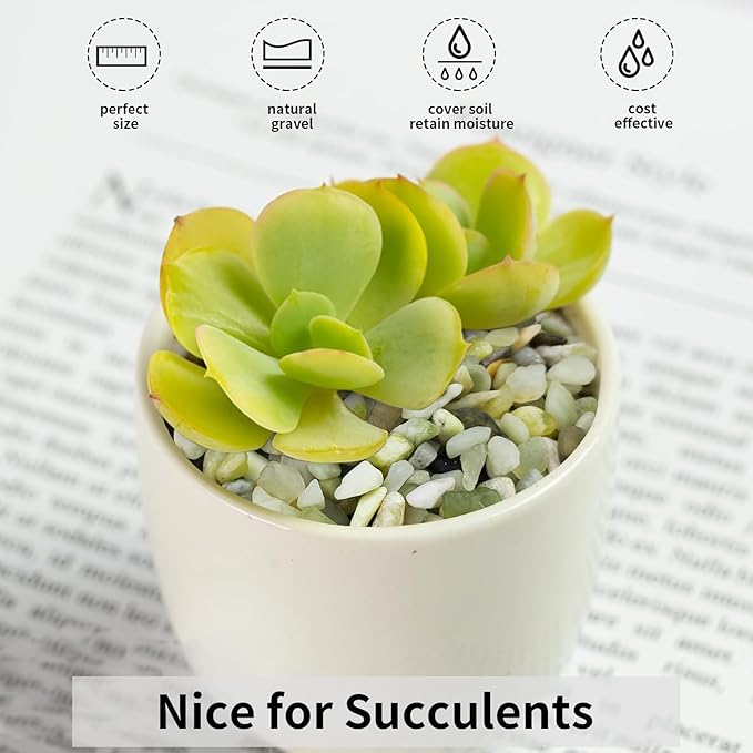 10 lbs Jade Gravel Small Pebbles for Plants, 3/8 Inch Decorative Rocks for Plants Succulents Bamboo Vases Landscaping and Potted Drainage Rocks